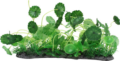 

Jainsons Pet Products Laterite Planted Substrate(Green)