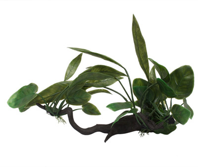 

Jainsons Pet Products Laterite Planted Substrate(Green)