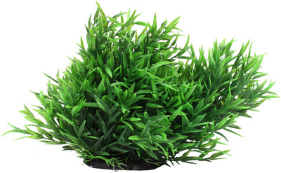 

Jainsons Pet Products Laterite Planted Substrate(Green)