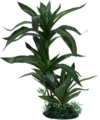 

Jainsons Pet Products Fish Tank Decorative Items Laterite Planted Substrate(Green)