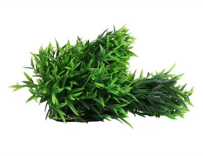 

Jainsons Pet Products Laterite Planted Substrate(Green)