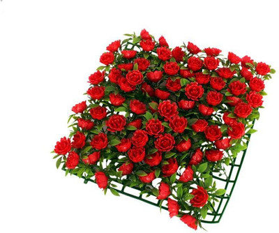 

Jainsons Pet Products Laterite Planted Substrate(Multicolor)