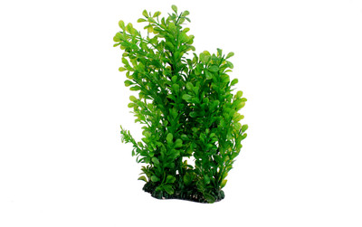 

Jainsons Laterite Planted Substrate(Green)