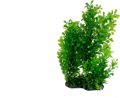 

Jainsons Laterite Planted Substrate(Green)