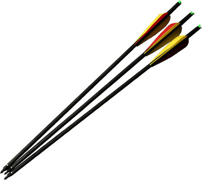 

Adraxx Carbon Fibre With 300 Spine Set of 3 Arrow(22)