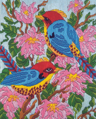 

Anchor Stitch Kits - Springtime Visitors