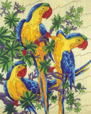 

Anchor Stitch Kits - Perching Parakeets
