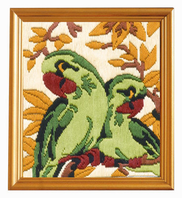 

Anchor Flash Frame Series - Twin parrot