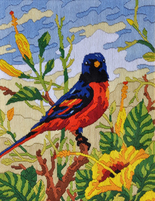 

Anchor Stitch Kits - Scarlet Minivet