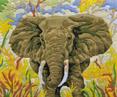 

Anchor Stitch Kits - Monarch of the Jungle