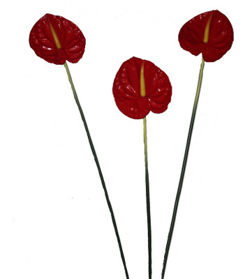 61% OFF on Pollination ANTHURIUM Red Assorted Artificial Flower(32 inch, Pack of 3) 61% OFF on Pollination ANTHURIUM Red Assorted Artificial Flower(32 inch, Pack of 3)