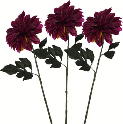 50% OFF on Pollination Dahlia Purple Assorted Artificial Flower(30 inch, Pack of 3) 50% OFF on Pollination Dahlia Purple Assorted Artificial Flower(30 inch, Pack of 3)