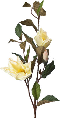 

Kusal Yellow Magnolia Artificial Flower(Pack of 2)