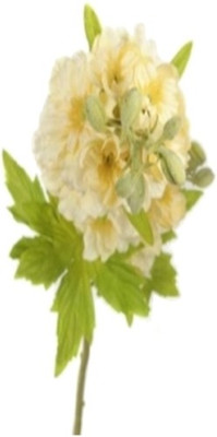

Flowers Forever Single Larkspur Yellow Assorted Artificial Flower(Pack of 1)
