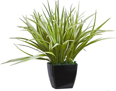 

Kusal Green Assorted Artificial Flower with Pot(6 inch, Pack of 1)