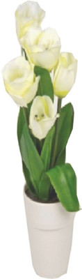 

Flowers Forever Mini White Tulips Artificial Flower with Pot(Pack of 1)