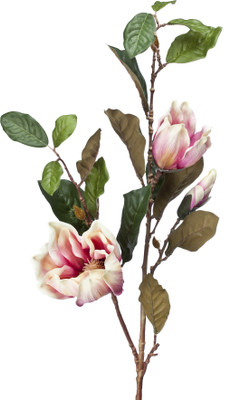 

Kusal Pink Magnolia Artificial Flower(Pack of 2)