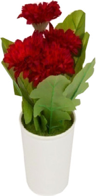 

Flowers Forever Red Gerbera Artificial Flower with Pot(Pack of 1)