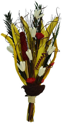 

Exotic Creations Multicolor Dried Sticks Artificial Flower(23.6 inch, Pack of 1)