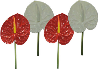 

ZOOEY Red, White Assorted Artificial Flower(31 inch, Pack of 4)