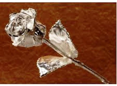 

Deepak Traders Silver Rose Artificial Flower(6 inch, Pack of 1)