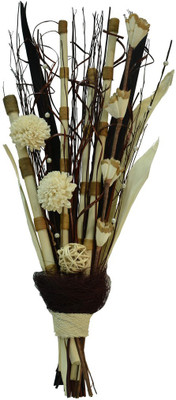 

Exotic Creations Multicolor Dried Sticks Artificial Flower(23.6 inch, Pack of 1)