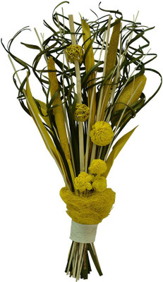 

Exotic Creations Multicolor Dried Sticks Artificial Flower(23.6 inch, Pack of 1)