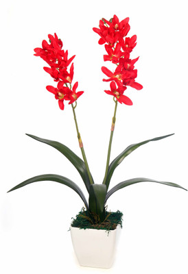 

Kusal Red Orchids Artificial Flower with Pot(18 inch, Pack of 1)