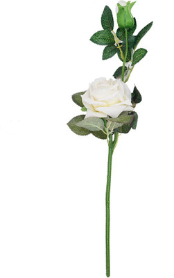 

Indian Decor Company White Rose Artificial Flower(17 inch, Pack of 1)