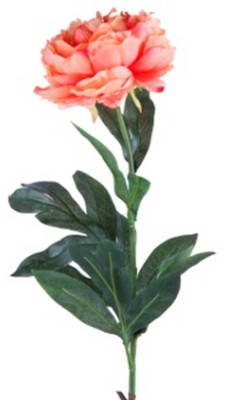 

Flowers Forever Single Orange Peony Artificial Flower(Pack of 1)