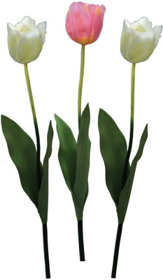 

ZOOEY White, Pink Tulips Artificial Flower(26 inch, Pack of 3)