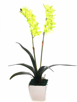 

Kusal Green Orchids Artificial Flower with Pot(18 inch, Pack of 1)
