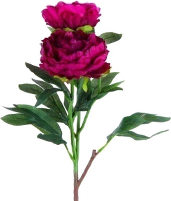 

Flowers Forever 3 Heads Pink Peony Artificial Flower(Pack of 1)