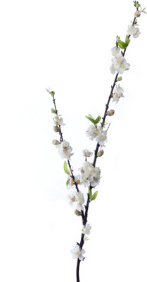 

Kusal White Assorted Artificial Flower(Pack of 2)