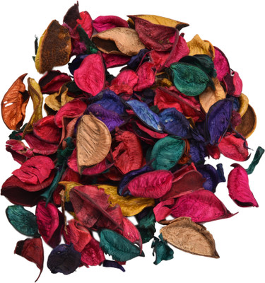 

Look's Interior Multicolor Assorted Artificial Flower(1 inch, Pack of 1)