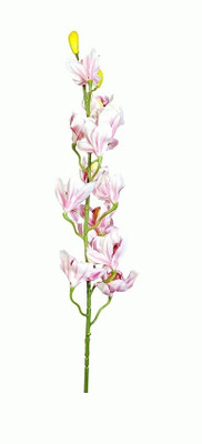 

Orchard Pink Orchids Artificial Flower(50 inch, Pack of 1)