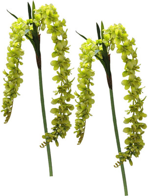 

ZOOEY Green Assorted Artificial Flower(63 inch, Pack of 2)