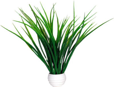 Loxia Green Wild Flower Artificial Flower with Pot(11.5 inch, Pack of 1)