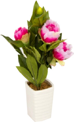 

Flowers Forever Pink, White Peony Artificial Flower with Pot(Pack of 1)
