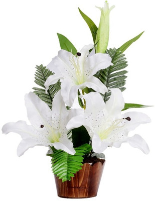 33% OFF on Vck Lilly Arrangment With Wooden Pot White Assorted Artificial Flower with Pot(16 inch, Pack of 1) 33% OFF on Vck Lilly Arrangment With Wooden Pot White Assorted Artificial Flower with Pot(16 inch, Pack of 1)