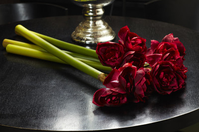 

Foyer Red Assorted Artificial Flower(Pack of 1)