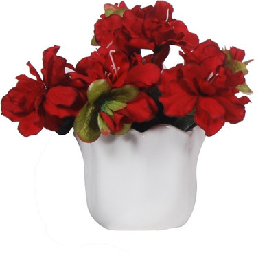 

Orchard Red Peony Artificial Flower with Pot(6.6 inch, Pack of 1)