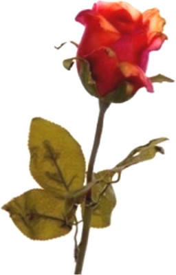 

Flowers Forever Single Pink Rose Artificial Flower(Pack of 1)