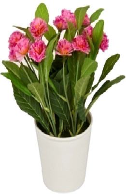 

Flowers Forever Mini Lilac Pink Assorted Artificial Flower with Pot(Pack of 1)