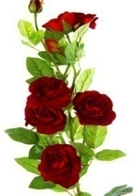 Flowers Forever 7 Heads Velvet Wild Red Rose Artificial Flower(Pack of 1)