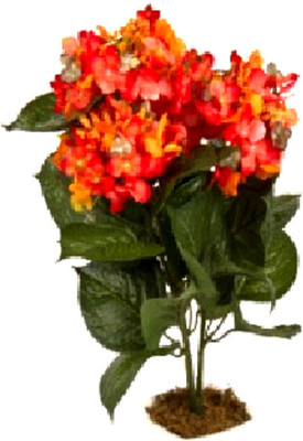 

Flowers Forever Hydrangea Multicolor Assorted Artificial Flower(Pack of 1)