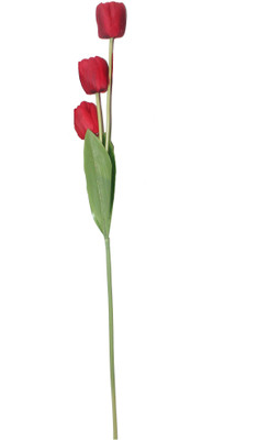

Bengal Blooms Red Tulips Artificial Flower(24 inch, Pack of 1)