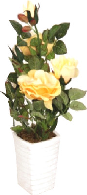 

Flowers Forever Yellow Rose Artificial Flower with Pot(Pack of 1)