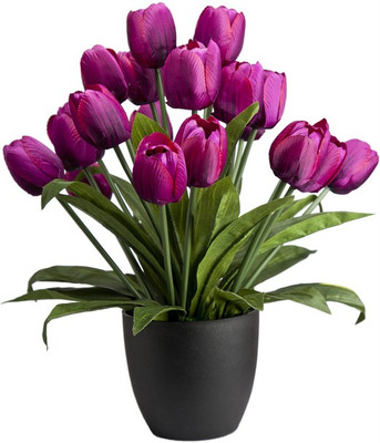 

Kusal Purple Tulips Artificial Flower with Pot(15 inch, Pack of 1)