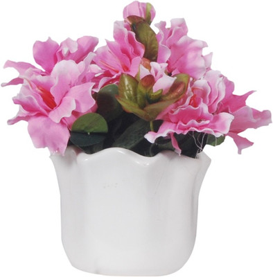 

Orchard Pink Peony Artificial Flower with Pot(6.6 inch, Pack of 1)
